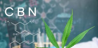 Cannabis de uso medicinal en el deporte el antídoto para las dolencias de los deportistas aficionados y profesionales