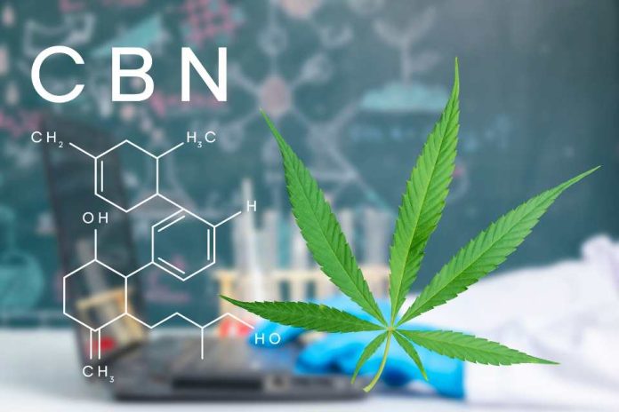 Cannabis de uso medicinal en el deporte el antídoto para las dolencias de los deportistas aficionados y profesionales