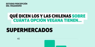 Estudio de percepción sobre veganismo 41% considera que hay bastante o muchas opciones de productos de origen vegetal en supermercados