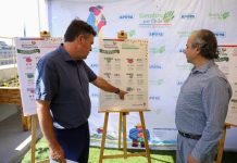 Ministerio de Agricultura recomienda carnes blancas, verduras y frutos rojos para cenas de fin de año