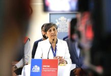 Ministra de Salud entrega recomendaciones ante aumento de material particulado por incendios forestales