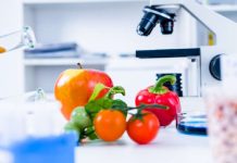 Startup chilena crea el primer alimento “hyperfood” para la salud mental de Latinoamérica