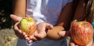 Buena hidratación y aprovechar las frutas de la estación recomendaciones para incorporar hábitos saludables este verano