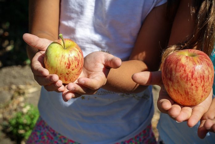 Buena hidratación y aprovechar las frutas de la estación recomendaciones para incorporar hábitos saludables este verano