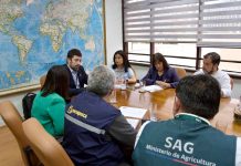 Autoridades llaman a evitar contacto con aves silvestres y animales marinos por Influenza Aviar