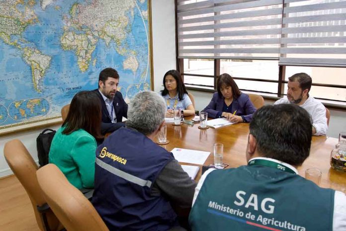 Autoridades llaman a evitar contacto con aves silvestres y animales marinos por Influenza Aviar