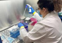 Estudiante de bioingeniería UAI participó en el desarrollo de un biorreactor para mantener hueso vivo Estudiante de bioingeniería UAI participó en el desarrollo de un biorreactor para mantener hueso vivo y comprobar los beneficios de la estimulación mecánica para mantener el tejido óseo saludable