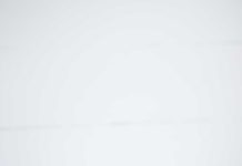 Frutas de verano ¿Cómo asegurar un consumo saludable