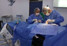 LISTA DE ESPERA: MÁS DE 500 ATENCIONES Y PROCEDIMIENTOS SE HAN  REALIZADO LOS FINES DE SEMANA DURANTE ESTE AÑO