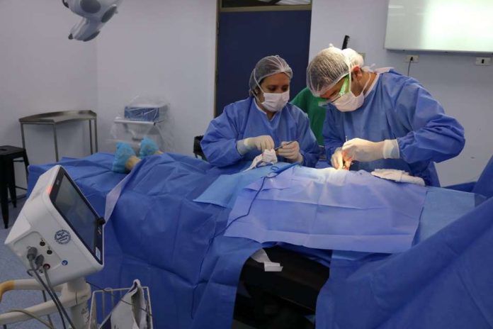 LISTA DE ESPERA: MÁS DE 500 ATENCIONES Y PROCEDIMIENTOS SE HAN  REALIZADO LOS FINES DE SEMANA DURANTE ESTE AÑO