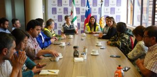 Ministra Aguilera visita comuna de Arauco, afectada por incendios forestales