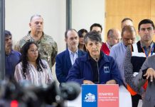 Ministra de Salud: atenciones oftalmológicas y de salud mental en zonas afectadas por incendios forestales