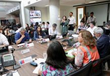 Presidente Boric designa a Ministra de Salud como enlace presidencial de la RM ante emergencia por incendios forestales y ola de calor