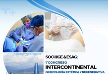 Chile será anfitrión del Primer Congreso Intercontinental de Ginecología Estética y Regenerativa