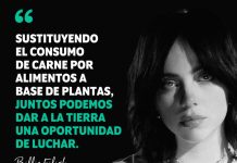 La consolidación del veganismo en América Latina