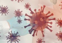 MINSAL informa primer caso humano de gripe aviar en Chile MINSAL informa primer caso humano de gripe aviar en Chile