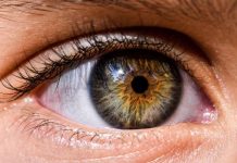 7 de abril, Día Mundial de la Salud: No olvidemos nuestros ojos 7 de abril, Día Mundial de la Salud: No olvidemos nuestros ojos