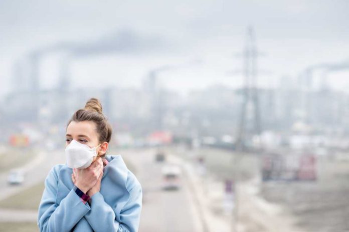 Contaminación del aire: especialistas explican sus causas y entregan consejos para evitar nocivos efectos en la salud