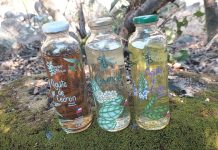 Sabores del bosque: la reinvención del consumo de las populares agüitas de hierbas Sabores del bosque: la reinvención del consumo de las populares agüitas de hierbas