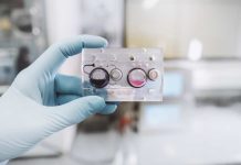 Human-on-a-chip: la metodología inédita desarrollada por Natura y LnBio es la alternativa eficiente contra pruebas de cosméticos en animales
