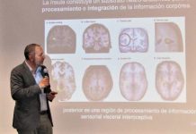 Interocepción: el sentido oculto que reconoce los estímulos internos Interocepción: el sentido oculto que reconoce los estímulos internos