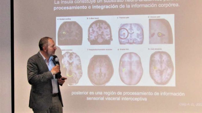 Interocepción: el sentido oculto que reconoce los estímulos internos