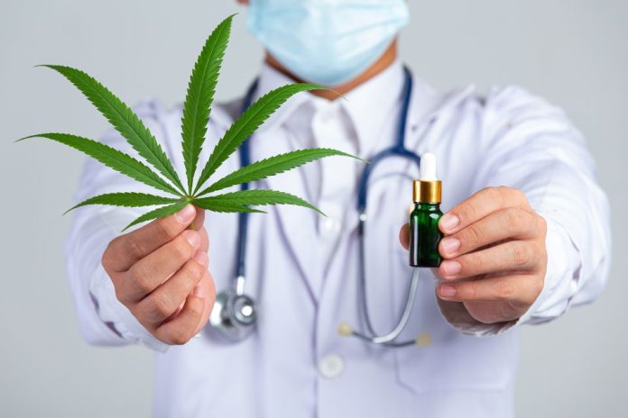 Lopapharma la healthtech cannabica que busca revelar su uso clínico