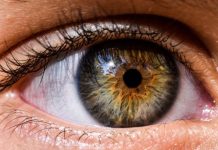 Tecnología de vanguardia permite diagnosticar el ojo seco y minimizar el uso de gotas lubricantes Tecnología de vanguardia permite diagnosticar el ojo seco y minimizar el uso de gotas lubricantes