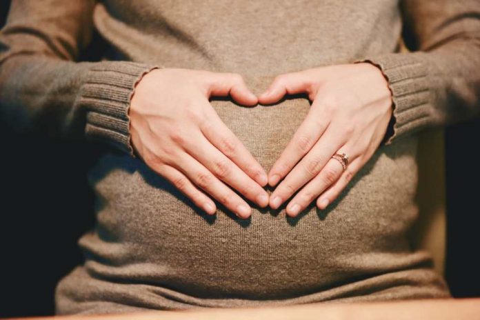 Maternidad y veganismo ¿cómo llevar una dieta basada en plantas en el embarazo y la crianza Maternidad y veganismo ¿cómo llevar una dieta basada en plantas en el embarazo y la crianza