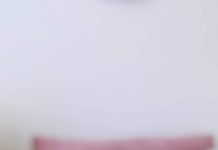 Vacunas, visitas del veterinario y estadías en hoteles: Esto es lo que lo que incluyen los seguros para las mascotas Vacunas, visitas del veterinario y estadías en hoteles: Esto es lo que lo que incluyen los seguros para las mascotas