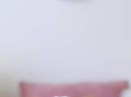 Vacunas, visitas del veterinario y estadías en hoteles: Esto es lo que lo que incluyen los seguros para las mascotas Vacunas, visitas del veterinario y estadías en hoteles: Esto es lo que lo que incluyen los seguros para las mascotas