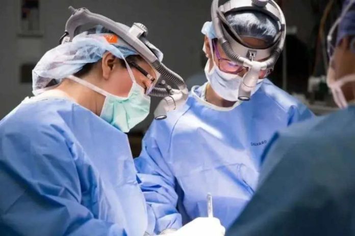 Alerta de expertos Por qué es importante mejorar la salud de los huesos antes de la cirugía de columna Alerta de expertos: Por qué es importante mejorar la salud de los huesos antes de la cirugía de columna