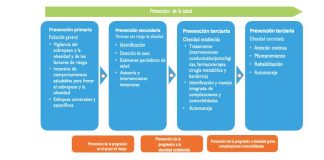 Organización Mundial de la Salud (OMS): Define Marco de Prestación de Servicios Sanitarios para la Prevención y el Tratamiento de la Obesidad.