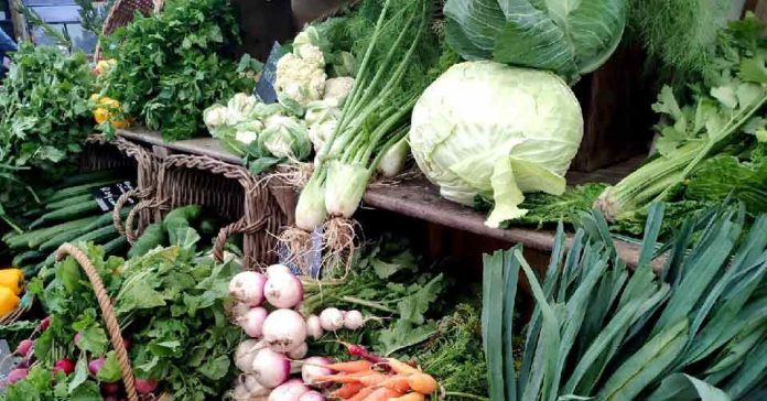 salud intestinal salud intestinal