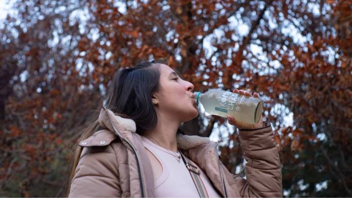 ¿ Por qué los fermentados y el chocolate oscuro son alimentos beneficiosos para el cerebro ¿ Por qué los fermentados y el chocolate oscuro son alimentos beneficiosos para el cerebro?