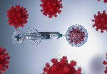Especialistas entregan recomendaciones para evitar contagios por Sarampión Especialistas entregan recomendaciones para evitar contagios por Sarampión
