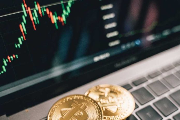 El Efecto Dominó: Cómo el Precio de Bitcoin Influye en Otras Criptomonedas