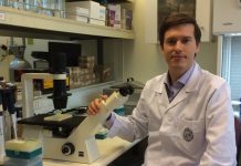 Dos mil personas participan en Chile y Filipinas en estudio de vacuna tetravalente contra la influenza