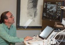 Nueva tecnología para veterinarios que utiliza Inteligencia Artificial llega a Chile