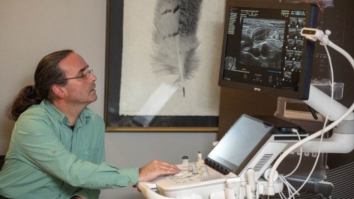 Nueva tecnología para veterinarios que utiliza Inteligencia Artificial llega a Chile