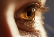 12 de octubre Día Mundial de la Visión: La importancia de la prevención 12 de octubre Día Mundial de la Visión: La importancia de la prevención
