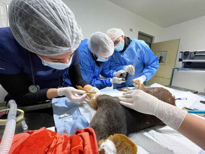 Centro de Rehabilitación de Fauna Silvestre de la UdeC  realizó capacitación sobre bioseguridad