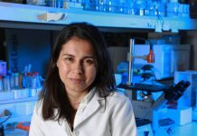 Científicos chilenos buscan saber cómo la falta de vitamina D afecta en la inflamación intestinal e infecciones