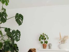 ¿Alergia primaveral? Aprende cómo evitar los molestos síntomas ¿Alergia primaveral? Aprende cómo evitar los molestos síntomas