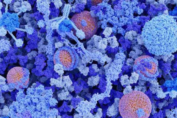 Trastorno hemorrágico subdiagnosticado y con complejo acceso a tratamiento