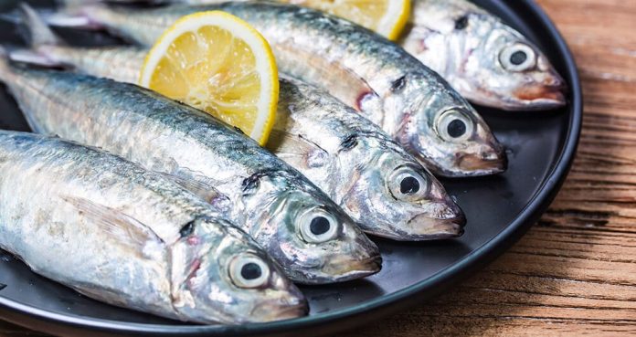 ¿Padeces alergias respiratorias? Descubre cómo el Omega 3 puede ayudarte a prevenirlas 