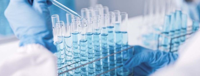 Imagen Columna Divulgación científica: el desafío de despertar interés en una sociedad sobreinformada