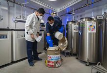 Almacenamiento de células madre del cordón umbilical: Un recurso terapéutico contra la leucemia