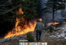 Incendios Forestales: ¿Cómo identificar una intoxicación por inhalación de humo y qué hacer?