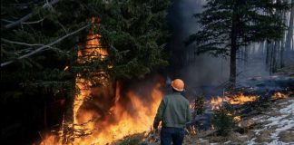 Incendios Forestales: ¿Cómo identificar una intoxicación por inhalación de humo y qué hacer?